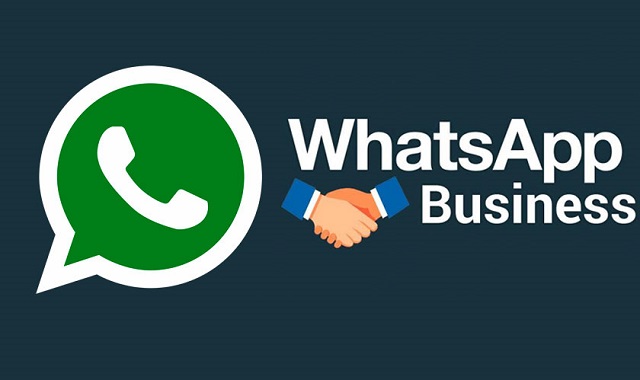 مشکلات استفاده از واتساپ بیزینس چیست؟.